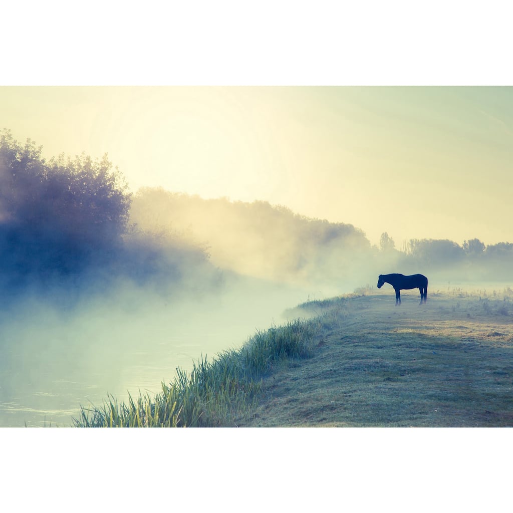 Marmont Hill 'Horse in the Fog' Painting Print on Wrapped Canvas - Multi-Color