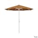 Option Teak