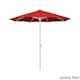 Option Jockey Red
