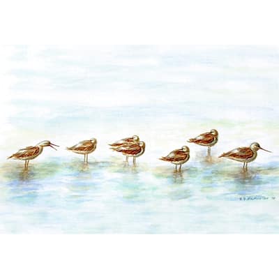 Betsy Drake Coastal Avocets Multicolored Polyester Doormat