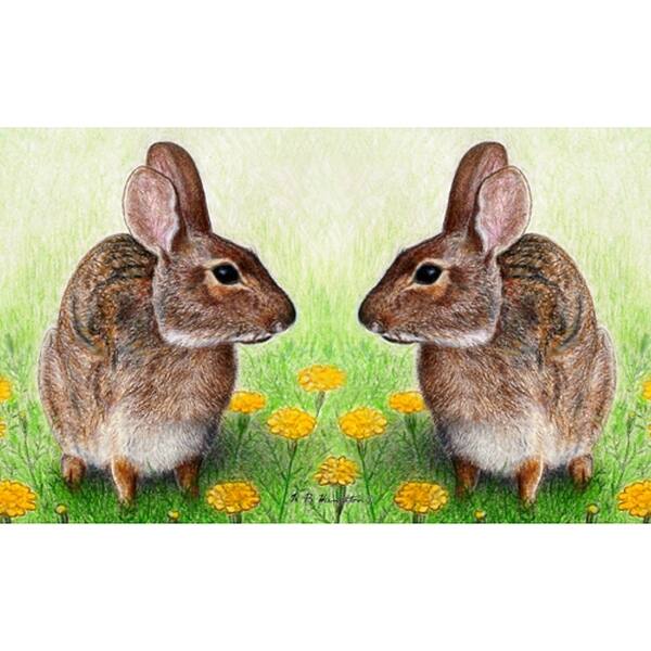 Garden Rabbits Polyester 26inch x 18inch Door Mat Overstock 12005173