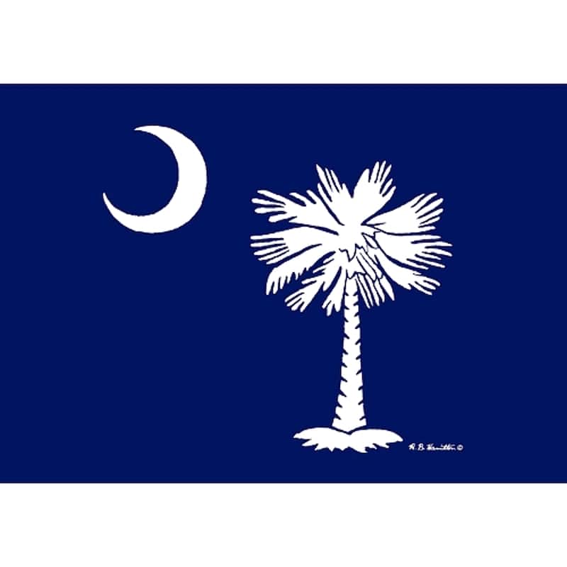 Betsy Drake Coastal Palmetto Moon Doormat - 18x26