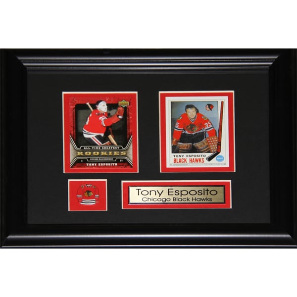 Tony Esposito Chicago Blackhawks 2-card Frame