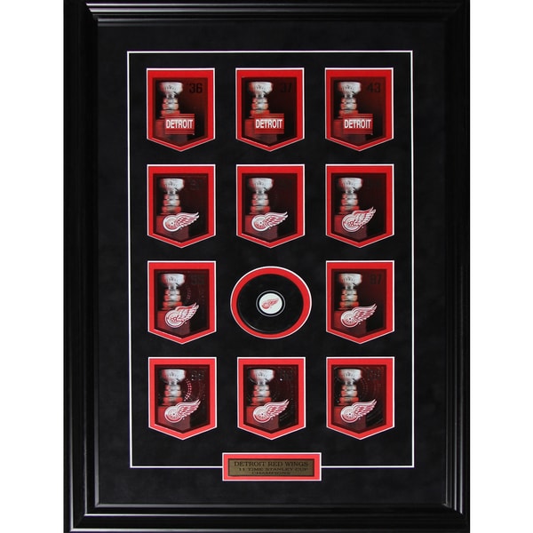Detroit Red Wings Stanley Cup Panini Cards Frame