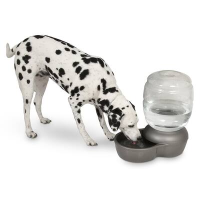 Petmate Dog Feeders Waterers Find Great Dog Supplies Deals