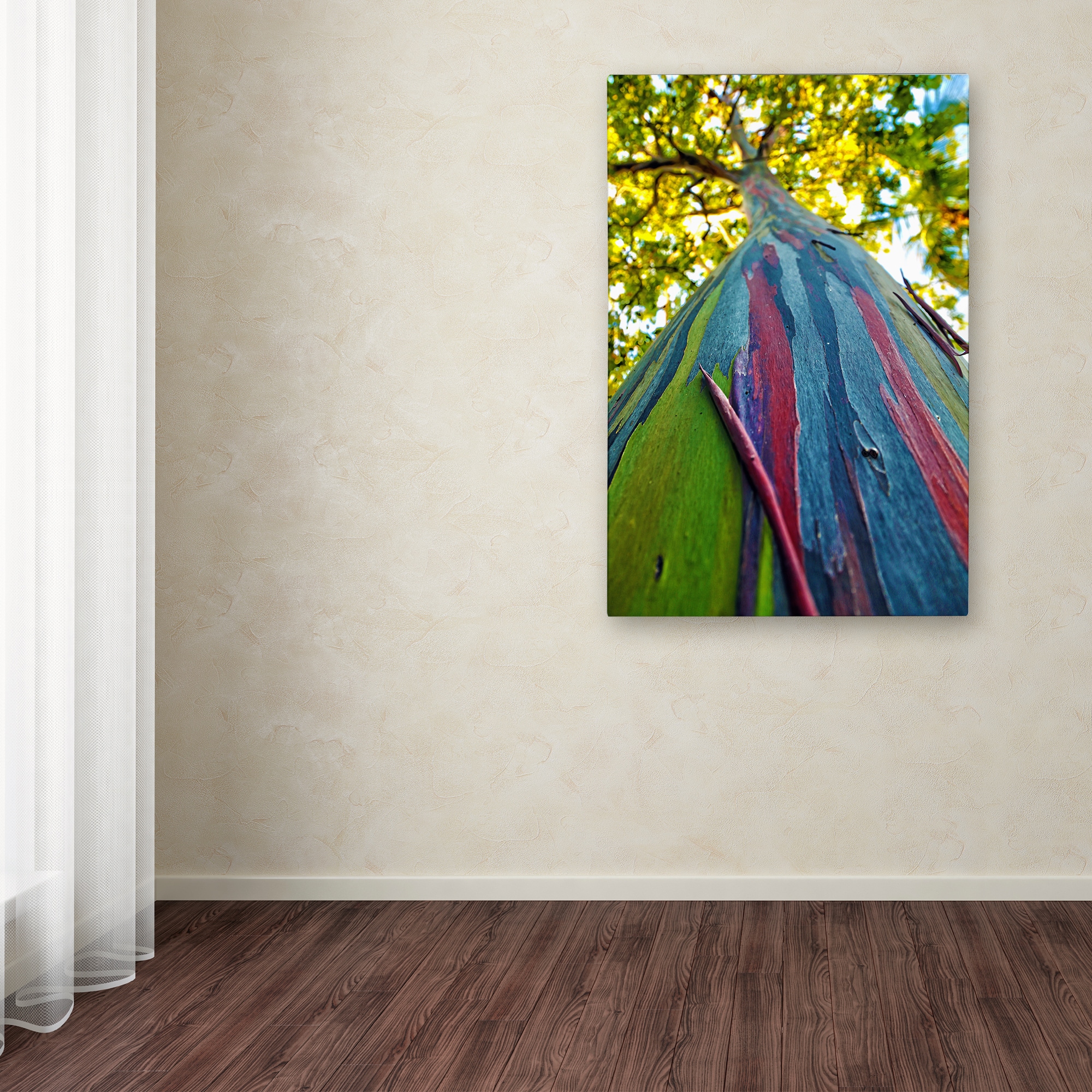 Cateyes Rainbow Eucalyptus Tree Canvas Art Multi