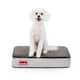 Brindle Memory Foam 4-inch Orthopedic Dog Bed - Small - Black