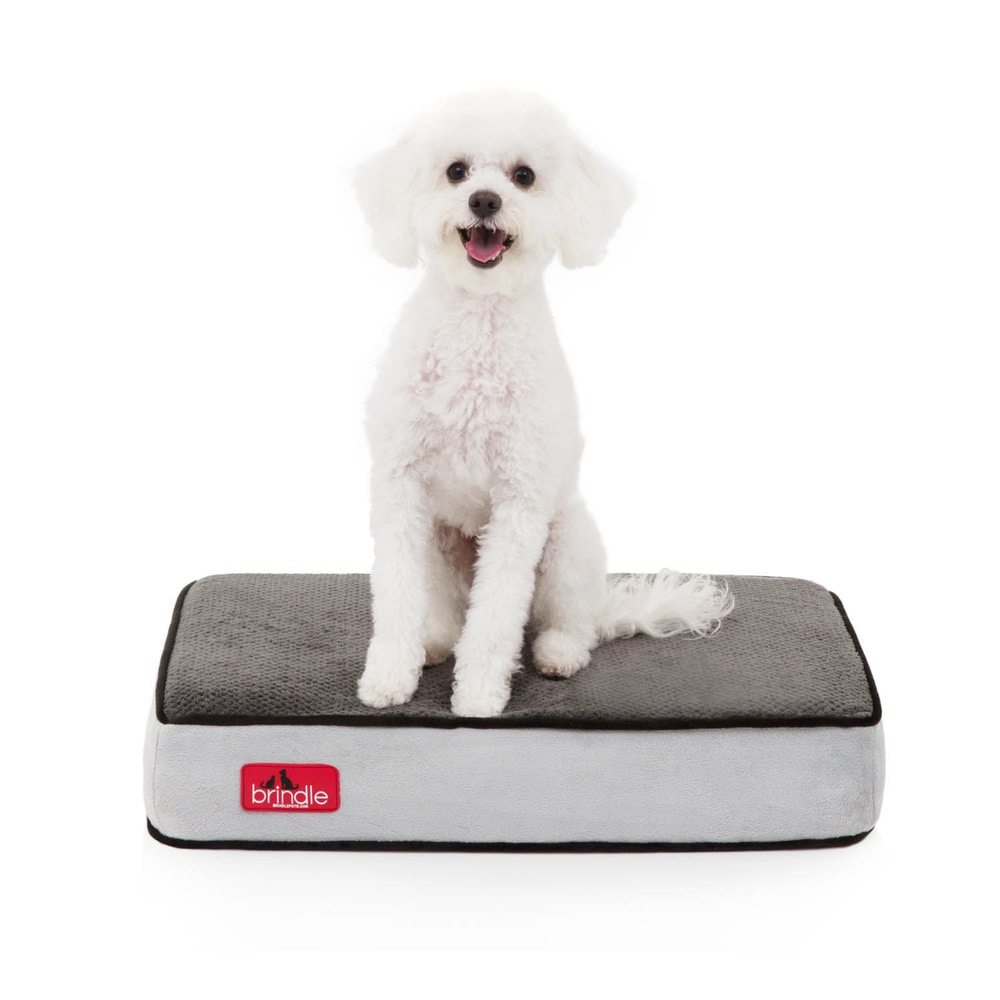 Black Pet Beds and Blankets Bed Bath Beyond