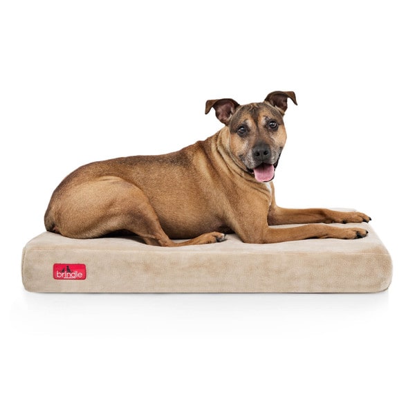 brindle orthopedic dog bed