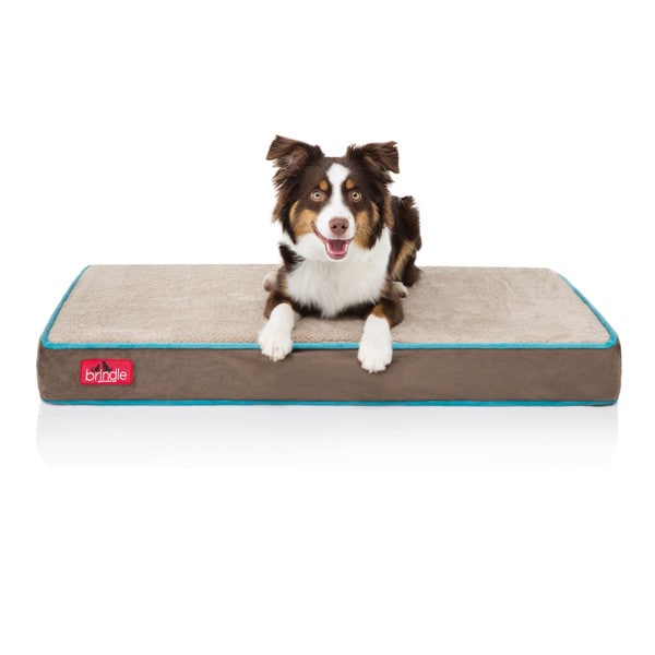 brindle orthopedic dog bed