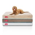 Brindle Memory Foam 4-inch Orthopedic Dog Bed