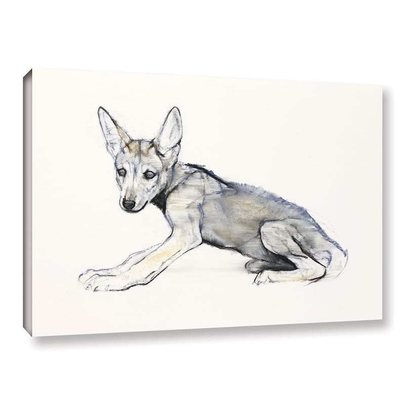 Mark Adlington's 'Adolescent Arabian Wolf Pup' Gallery Wrapped Canvas ...