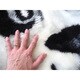 preview thumbnail 3 of 25, Panda Playmat