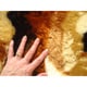 preview thumbnail 10 of 25, Panda Playmat