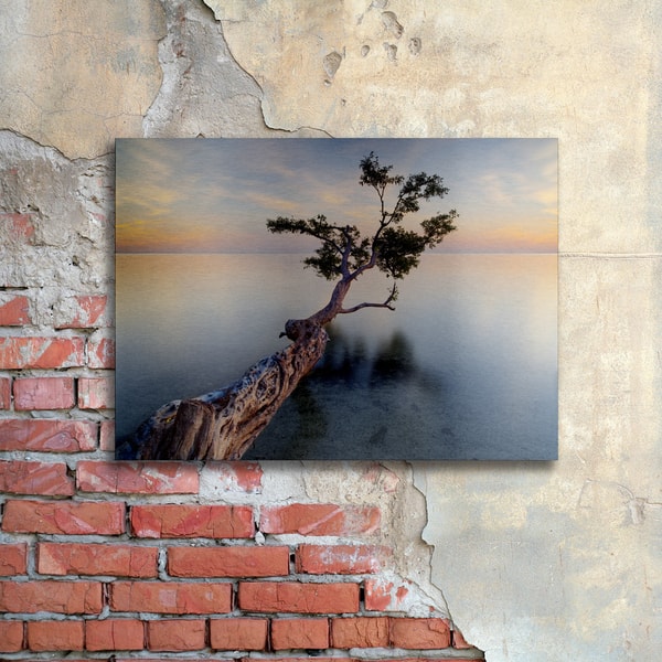 Moises Levy 'Water Tree XIV' Floating Brushed Aluminum Art Bed Bath