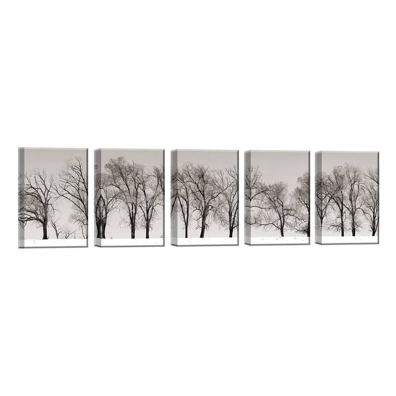 Winter Trees' 5-Pc Nature Photography Canvas Print Set