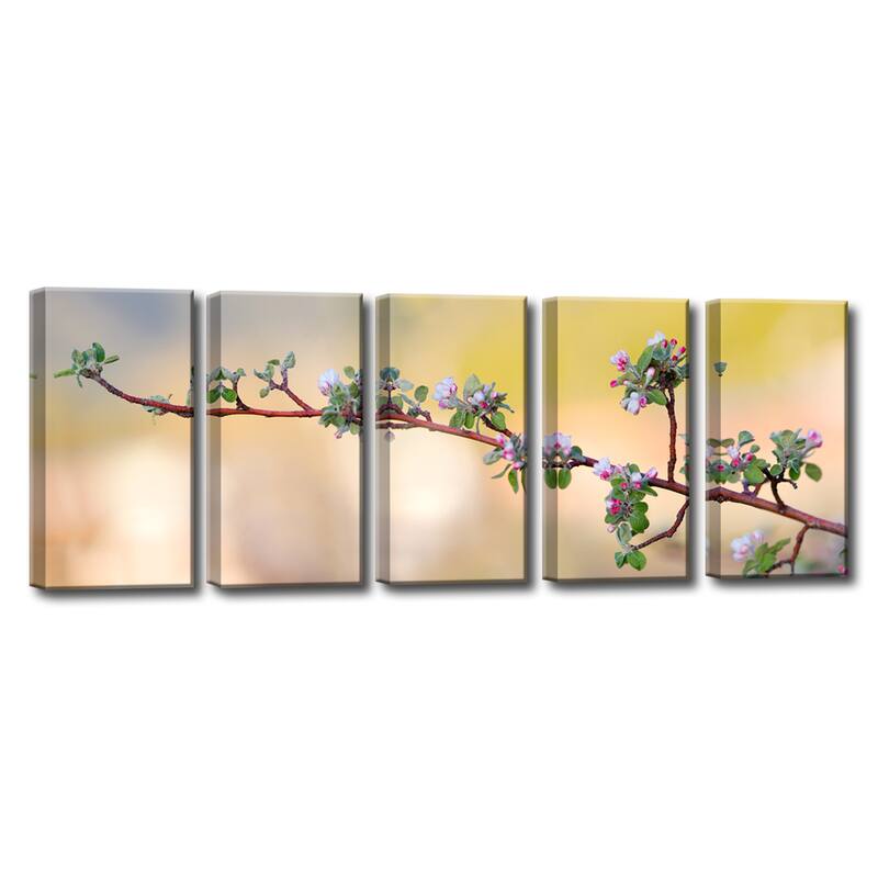 Apple Blossom' 5-Pc Nature Photography Canvas Print Set