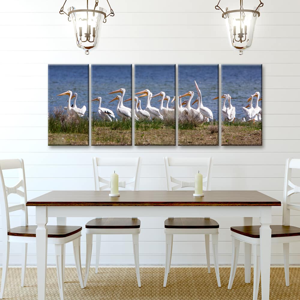 Pelicans' 5-Pc Nature Photography Canvas Print Set