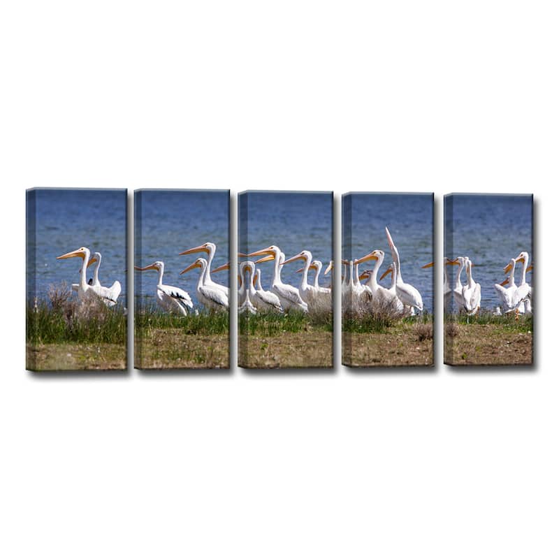 Pelicans' 5-Pc Nature Photography Canvas Print Set