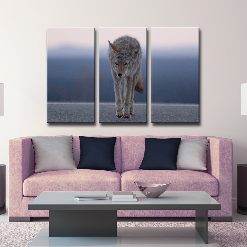 Coyote' 3-Pc Nature Photography Canvas Print Set
