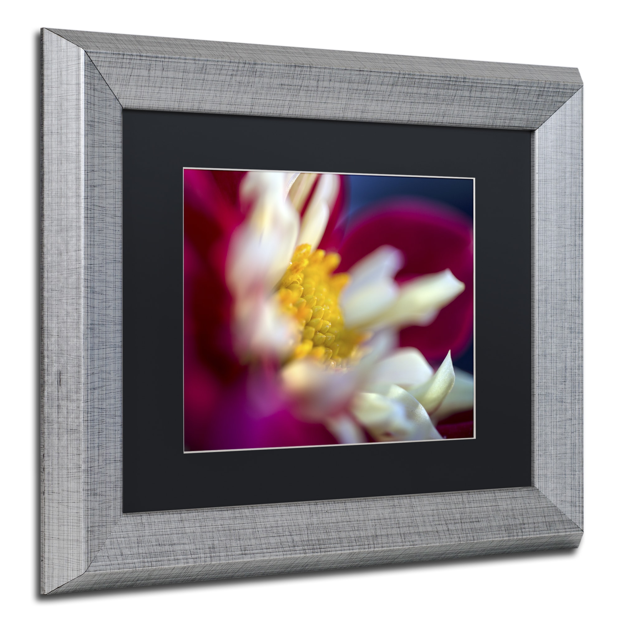 Kurt Shaffer A Different Kind Of Dahlia Matted Framed Art Overstock 12052061