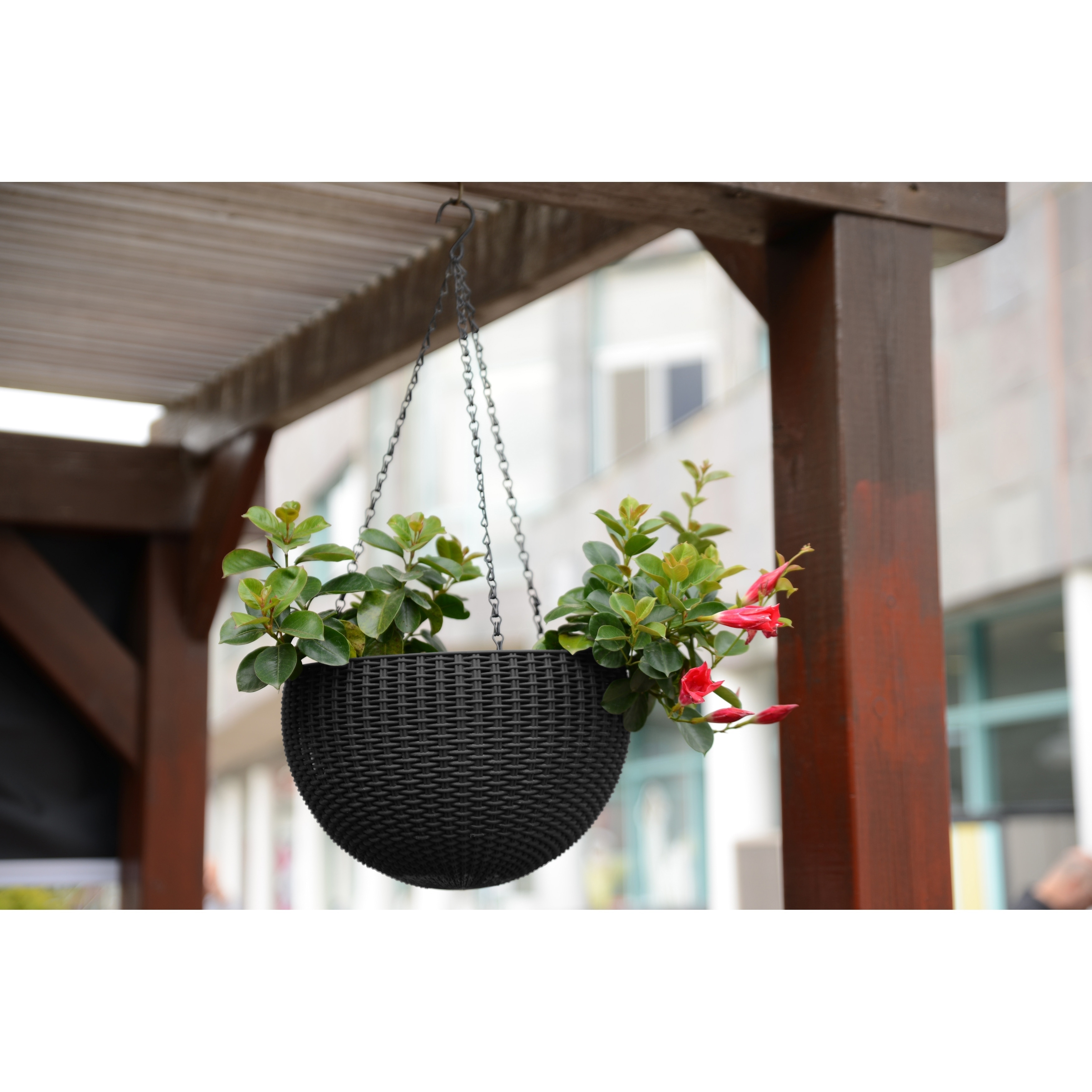 Keter Round Rattan Plastic Resin Garden Hanging Planters Set of 2