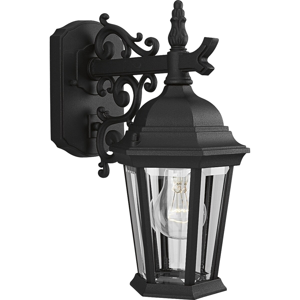 Progress Lighting Onion Lantern Collection 4-Light Textured Black