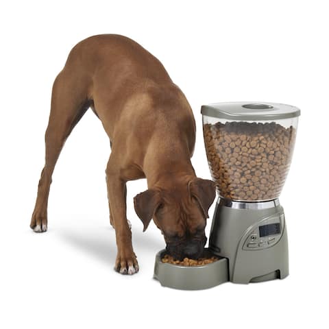 Petmate Portion Right Programmable Cat or Dog Feeder