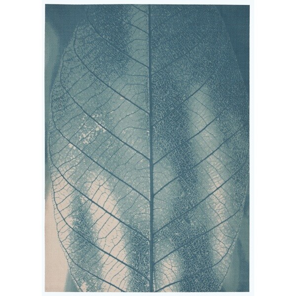 Nourison Coastal Aqua Area Rug - 7'9 x 10'10