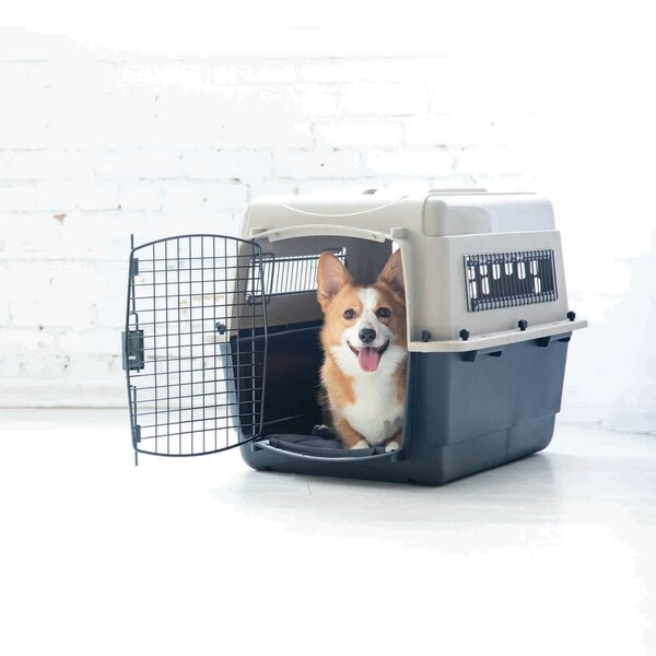 petmate ultra vari kennel 40 inch