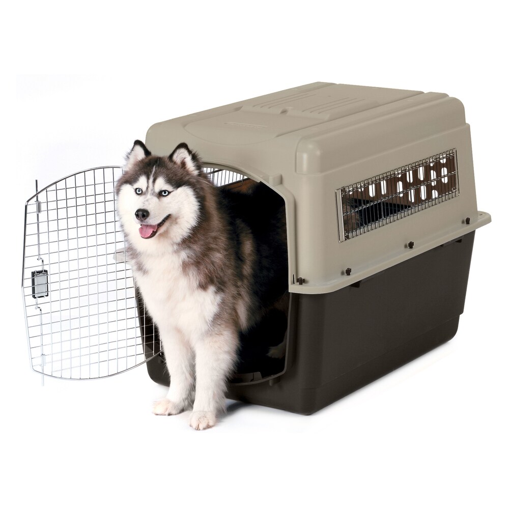 pet cages online