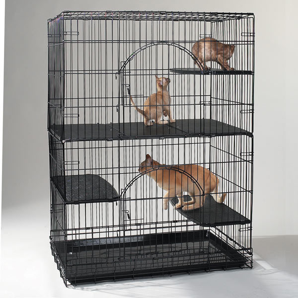 large cat playpen