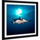 Craig Dietrich 'Sun Light Manta' Framed Plexiglass Underwater ...