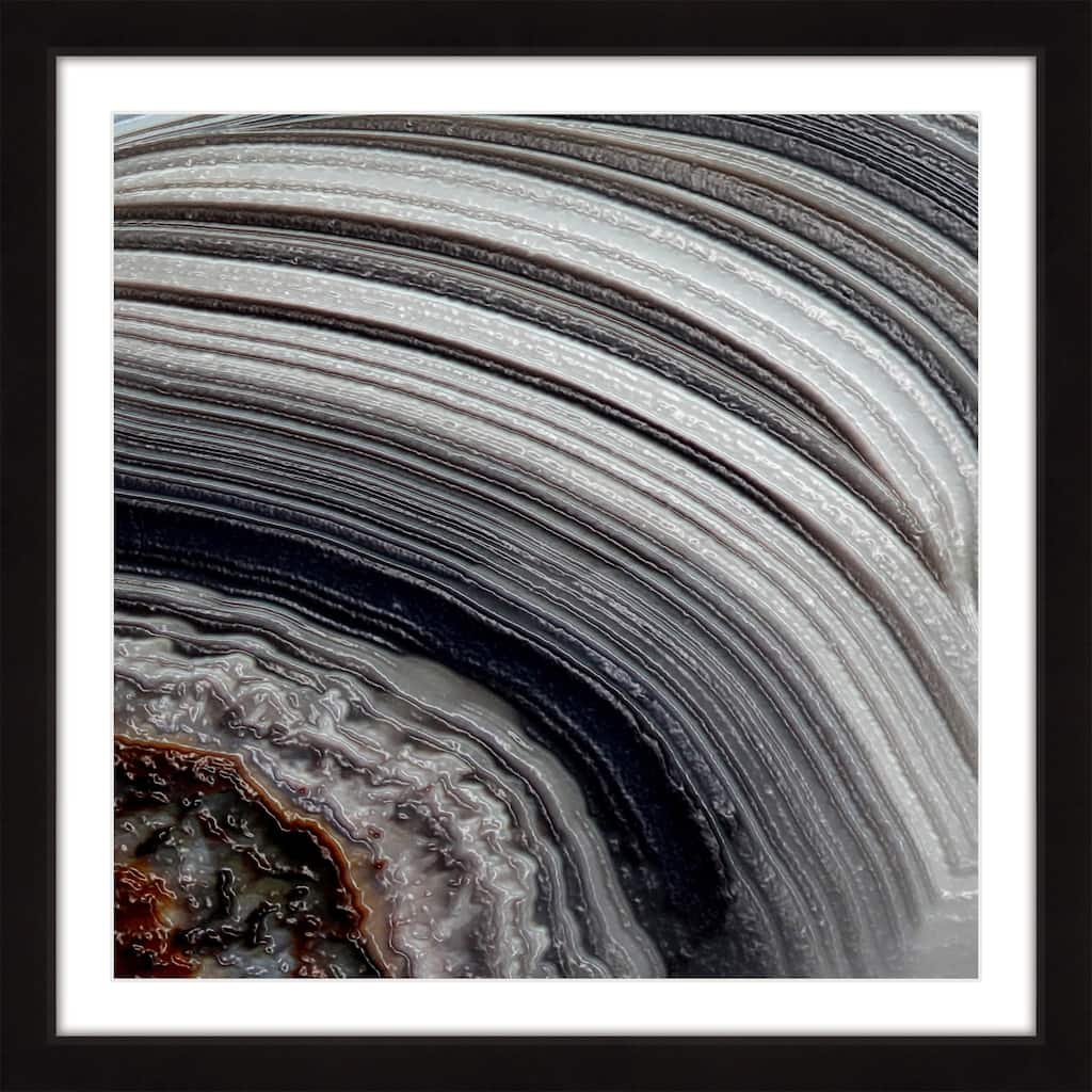 Marmont Hill 'Age Rings' Framed Painting Print