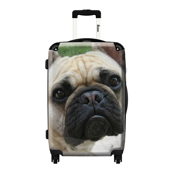 french bulldog suitcase