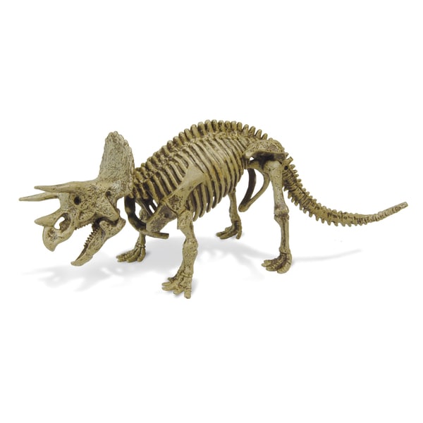 Geoworld Dr. Steve Hunters Paleo Expeditions Triceratops Dino