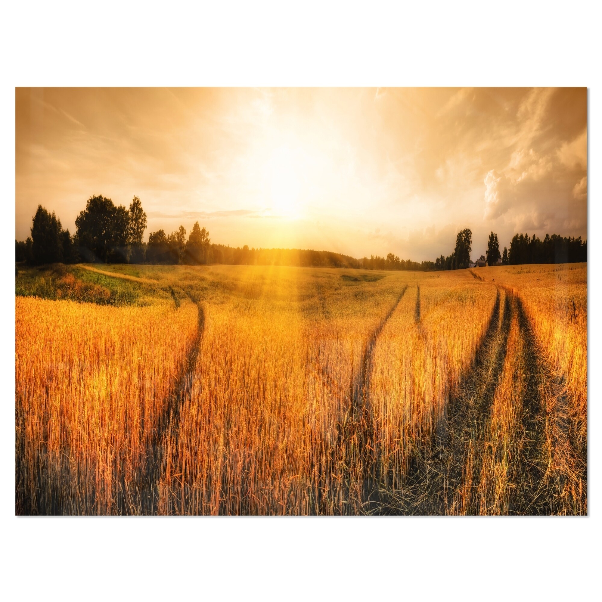 39 in x 32 in Designart TAP9202-39-32 Green Wheat Field at Sunset Landscape Photography Blanket Décor Art for Home and Office Wall Tapestry Medium Created On Lightweight Polyester Fabric 39 in x 32 in Designart TAP9202-39-32 Green Wheat Field at Sunset Landscape Photography Blanket Décor Art for Home and Office Wall Tapestry Medium Created On Lightweight Polyester Fabric