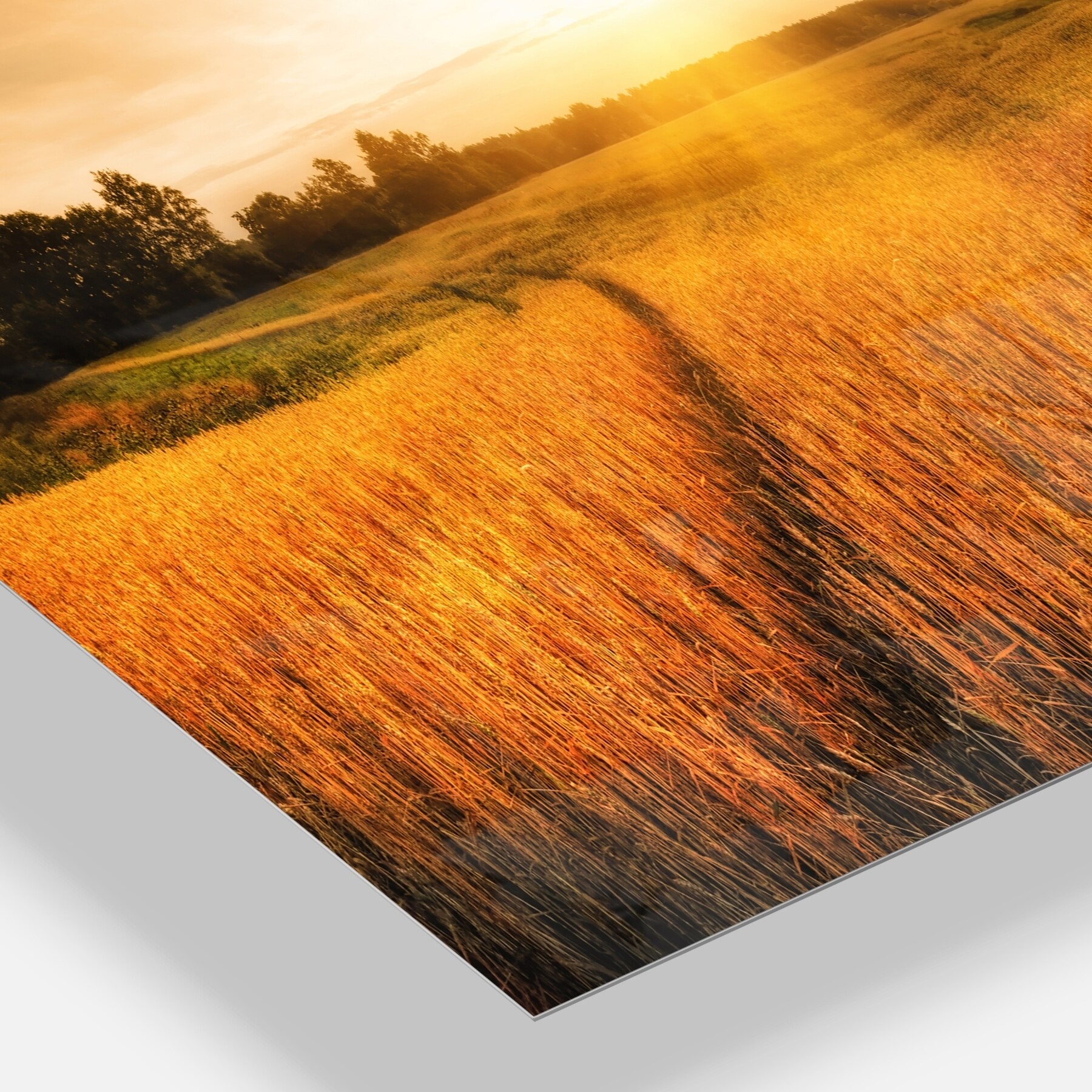 39 in x 32 in Designart TAP9202-39-32 Green Wheat Field at Sunset Landscape Photography Blanket Décor Art for Home and Office Wall Tapestry Medium Created On Lightweight Polyester Fabric 39 in x 32 in Designart TAP9202-39-32 Green Wheat Field at Sunset Landscape Photography Blanket Décor Art for Home and Office Wall Tapestry Medium Created On Lightweight Polyester Fabric