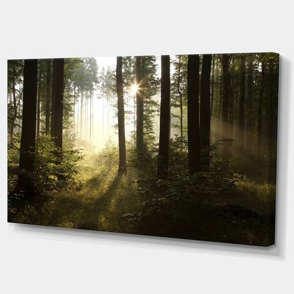 Early Morning Sun In Misty Forest Landscape Photo Canvas Print Green Overstock