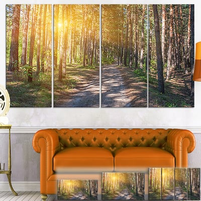 Thick Forest with Yellow Sun Rays - Landscape Photo Canvas Print