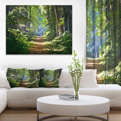 Bright Green Forest in Morning - Landscape Photo Canvas Print