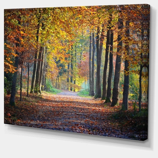 Designart 'Wide Pathway in Yellow Fall Forest' Landscape Photography ...