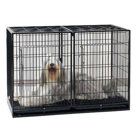 pro select dog kennel