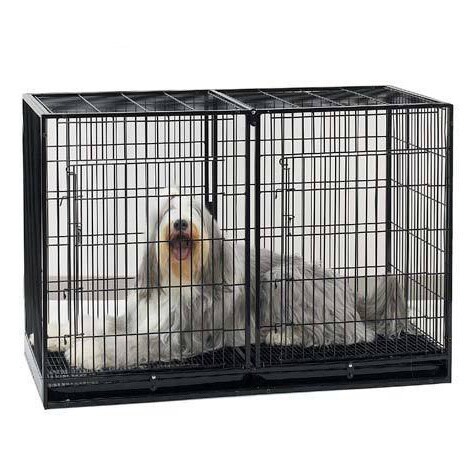 guardian gear proselect empire dog cage