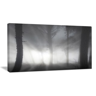 Forest in Heavy Autumn Mist - Landscape Photo Canvas Art Print - Bed ...