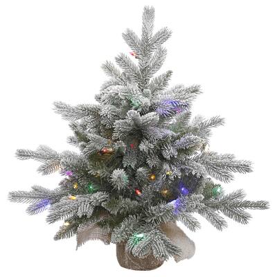 Vickerman Frosted Green PVC 24-inch Sable Pine Artificial Christmas Tree with 50 Multicolored LED Lights
