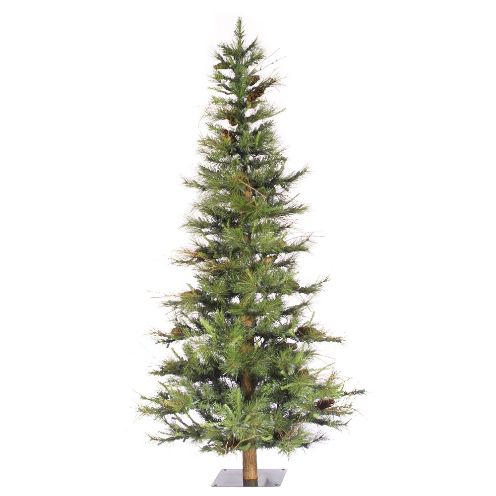  Vickerman 12' Welch Frasier Fir Artificial Christmas Tree  Unlit, Seasonal Indoor Home Decor : Home & Kitchen