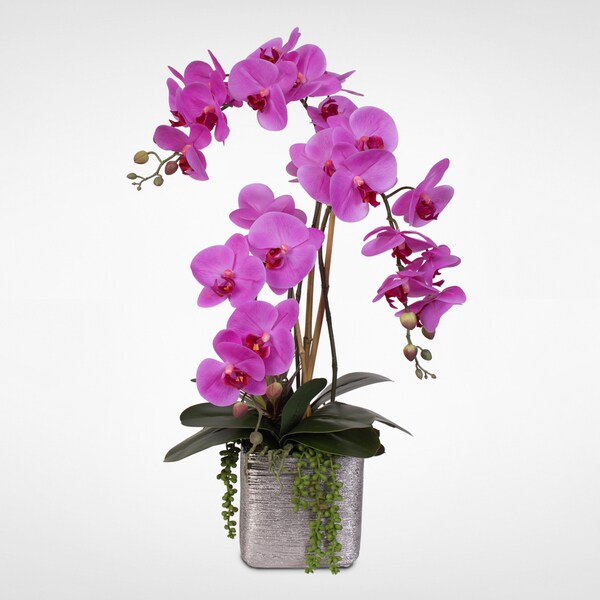 Real Touch Lavender Phalaenopsis Orchid with Succulents in Ceramic Pot ...