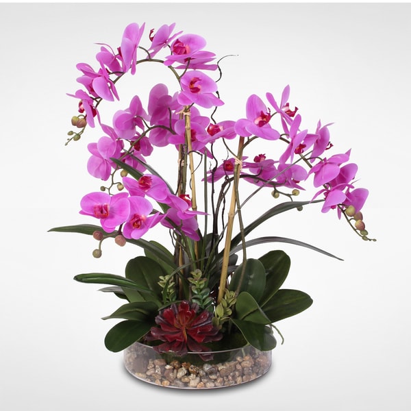 Real Touch Purple Phalaenopsis Orchid with Succulents and Natural Rocks ...