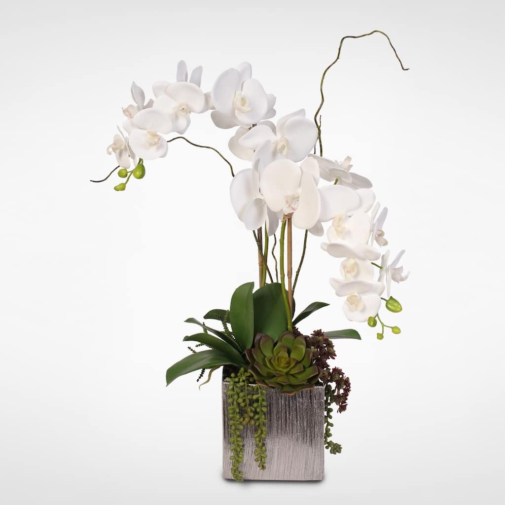 Real Touch White Phalaenopsis Orchids With Succulents in Silver Ceramic Pot